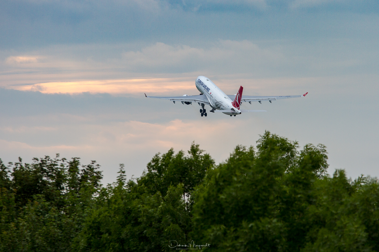 Turkish Airlines / Airbus A330-203 / TC-JNE / MUC / EDDM