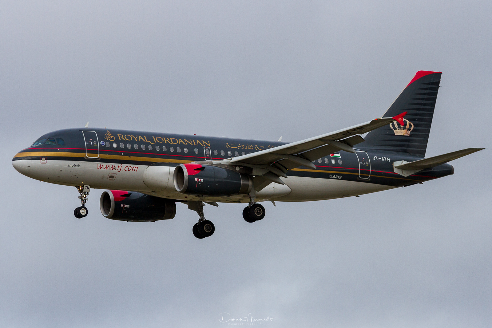 Royal Jordanian / Airbus A319-132 / JY-AYN / FRA / EDDF