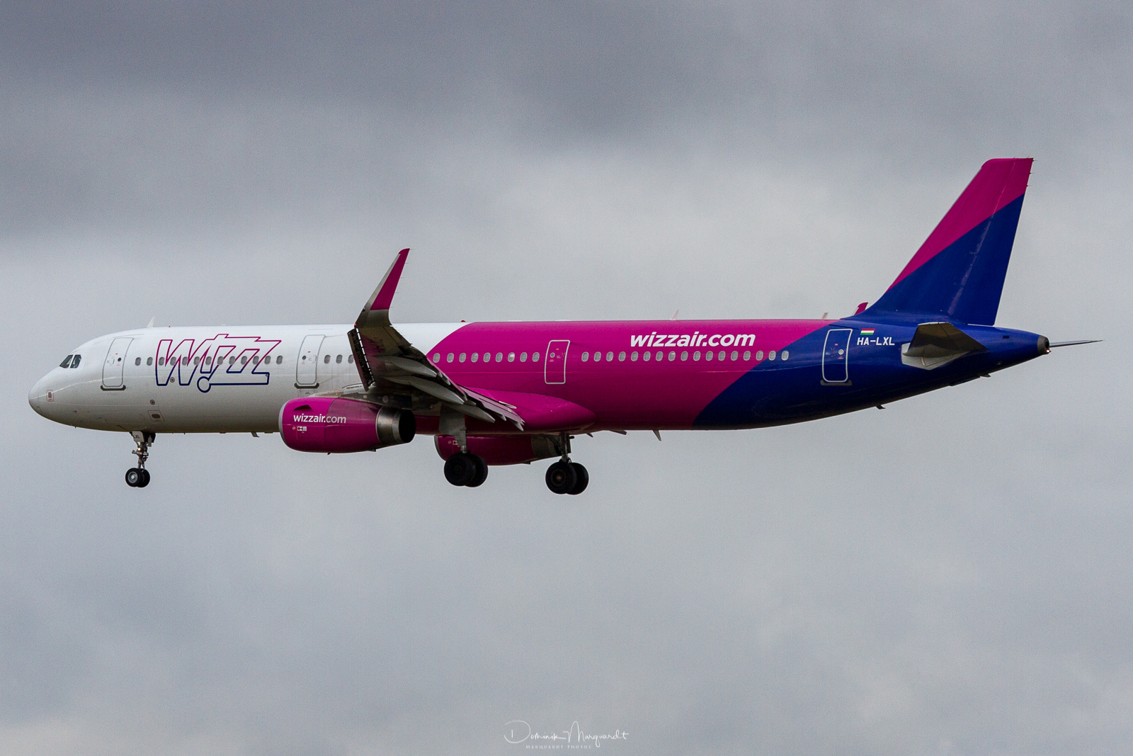 Wizz Air / Airbus A321-231 / HA-LXL / FRA / EDDF
